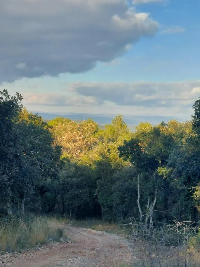 Bain De Nature Vidauban